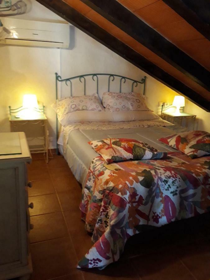 Chalet La Huerta 2 Amplios Jardines Barbacoa Y Wifi كونيل ذي لا فرونتيرا المظهر الخارجي الصورة